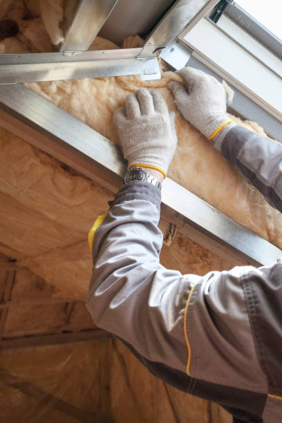 Best Specialized Insulation Services in Mansura, LA