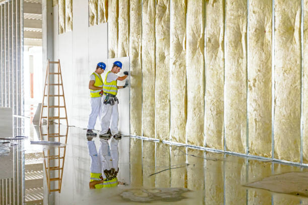 Best Residential Insulation in Mansura, LA